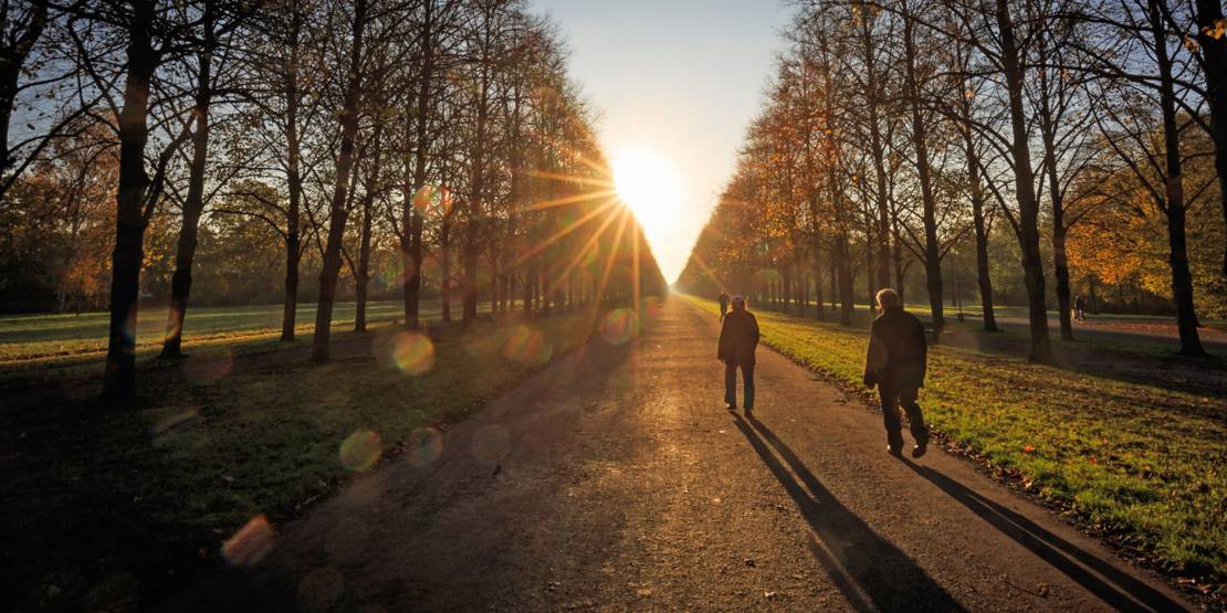 Allee im Herbst